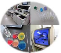 �����������������C���[�W